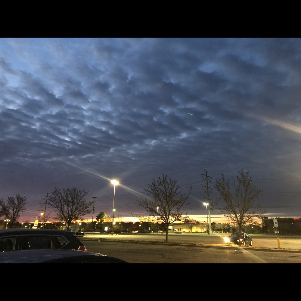 Meet your Posher, Tima